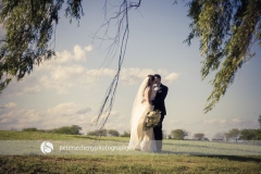 effects_D_0884_email