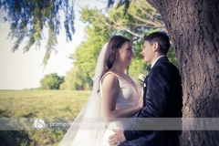 effects_D_0919_email