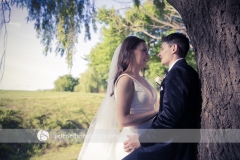 effects_D_0920_email