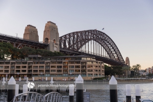 NSW Government Schools International